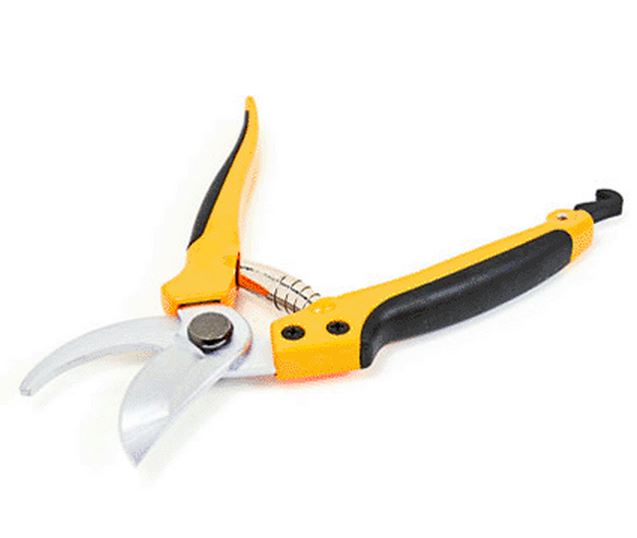 buy shears at cheap rate in bulk. wholesale & retail lawn & garden maintenance goods store.