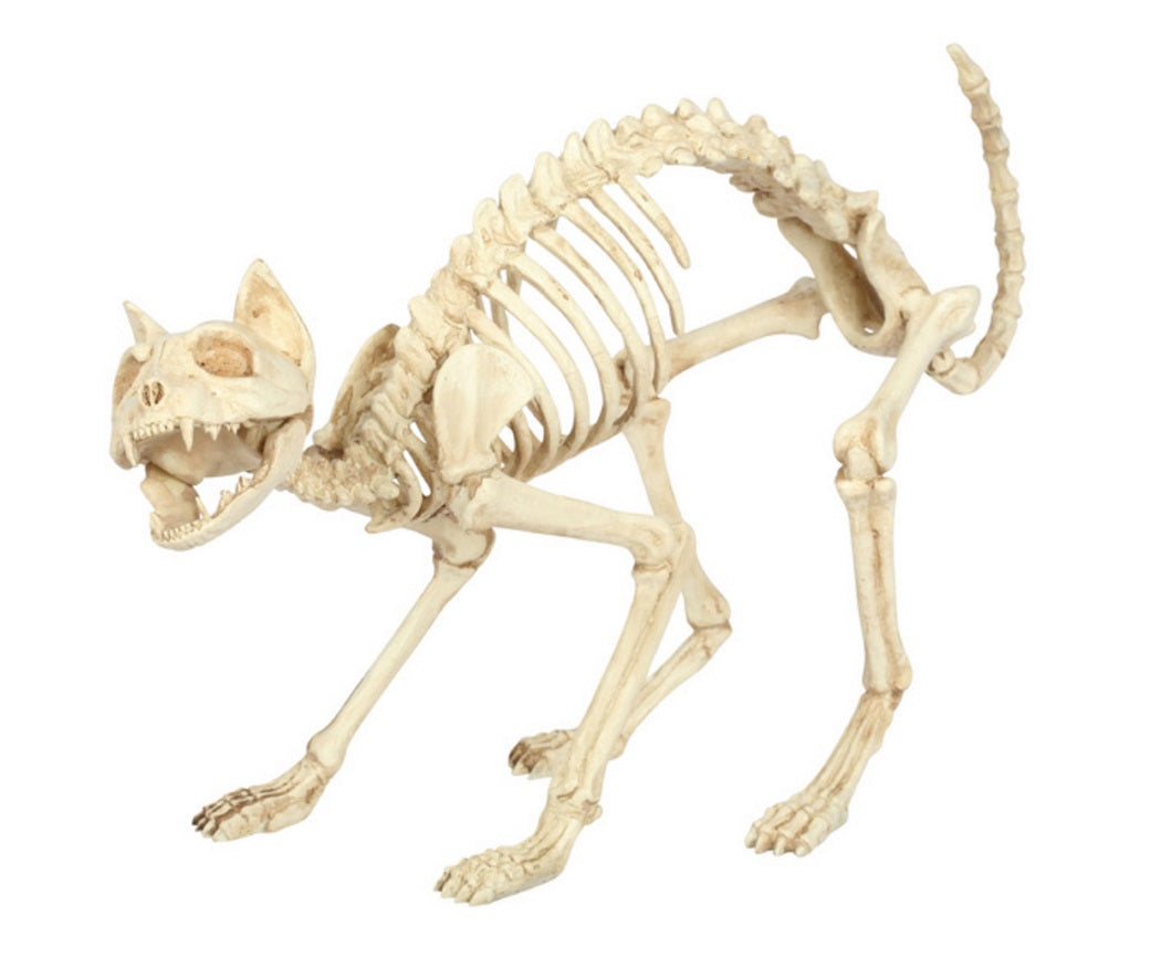 Seasons 18078 Halloween Prop Cat Skeleton Decor For Yard, 18"