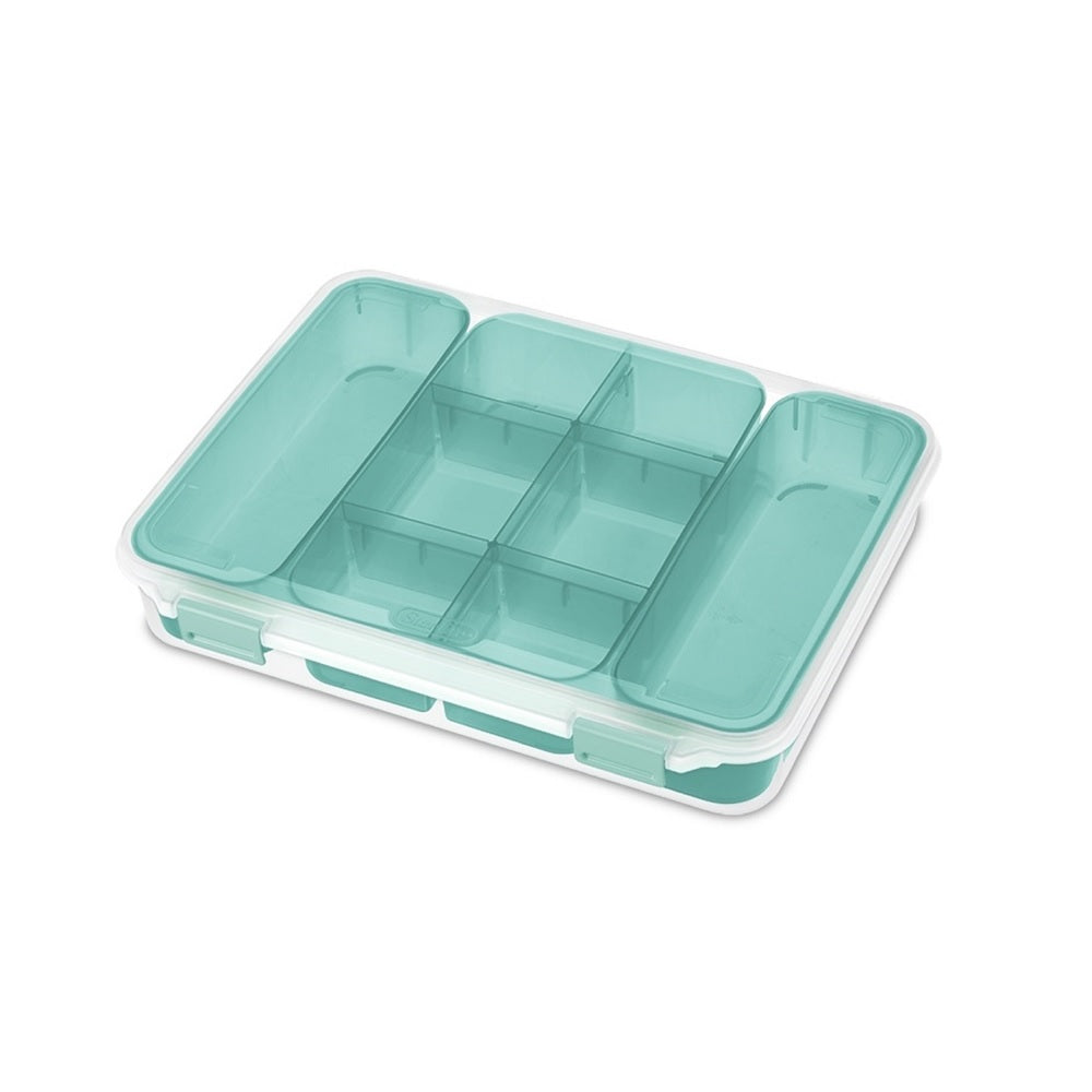 Sterilite 14028606 Divided Storage Case, Clear, Polypropylene