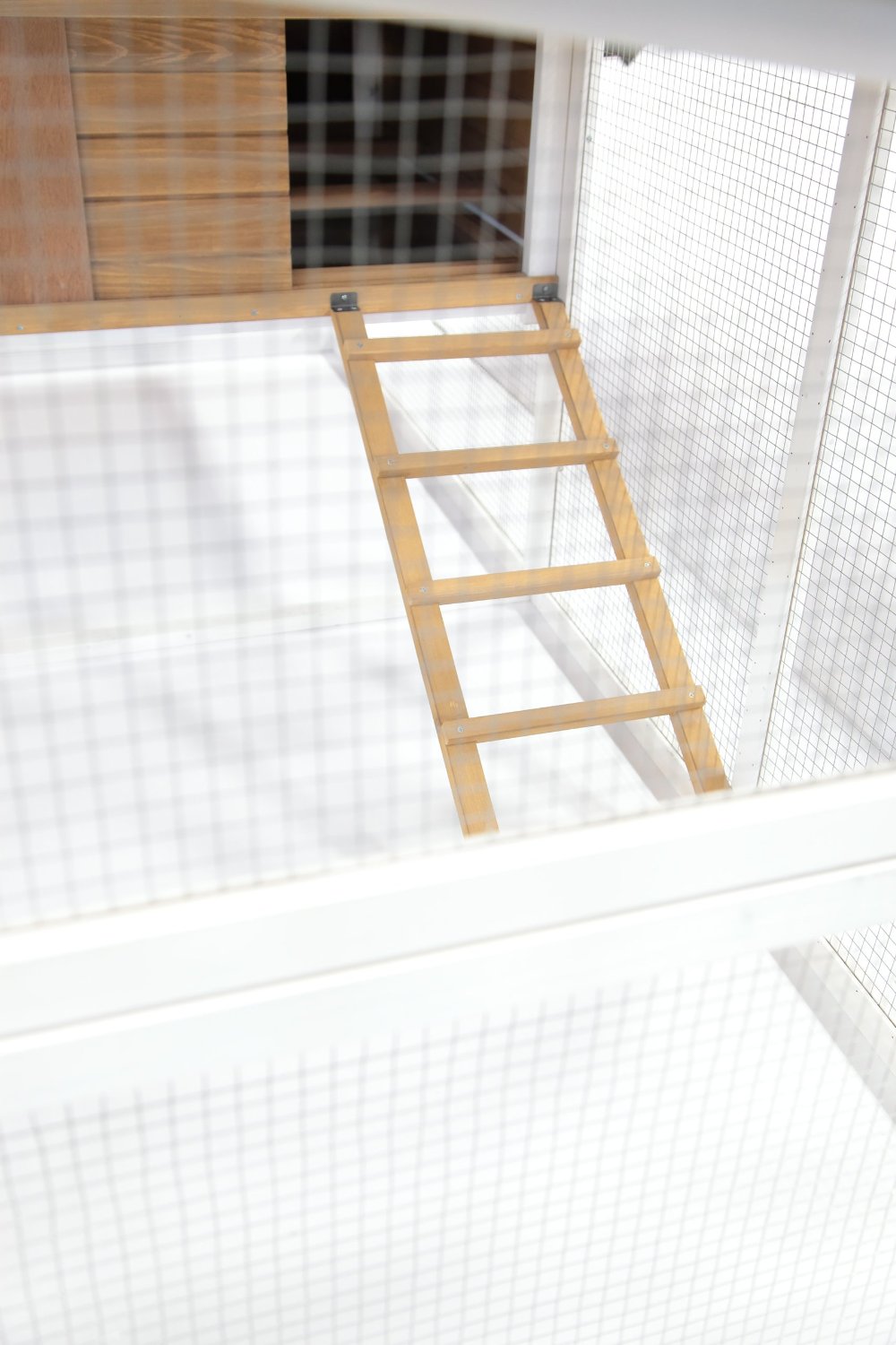 buy poultry equipment & supplies at cheap rate in bulk. wholesale & retail farm storage & maintenance store.