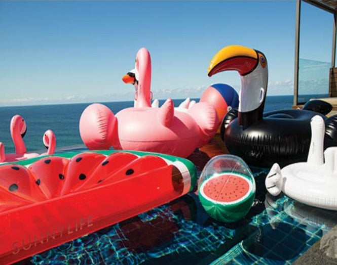 buy pool toys & floats at cheap rate in bulk. wholesale & retail outdoor cooking & grill items store.