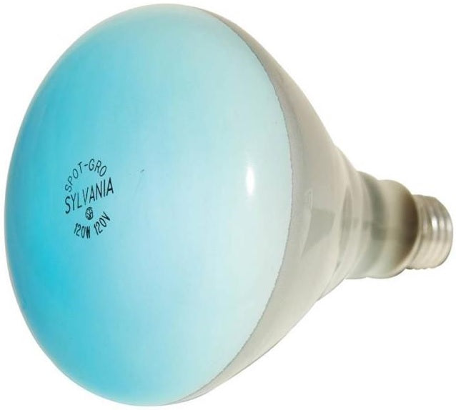 buy reflector light bulbs at cheap rate in bulk. wholesale & retail lamp parts & accessories store. home décor ideas, maintenance, repair replacement parts