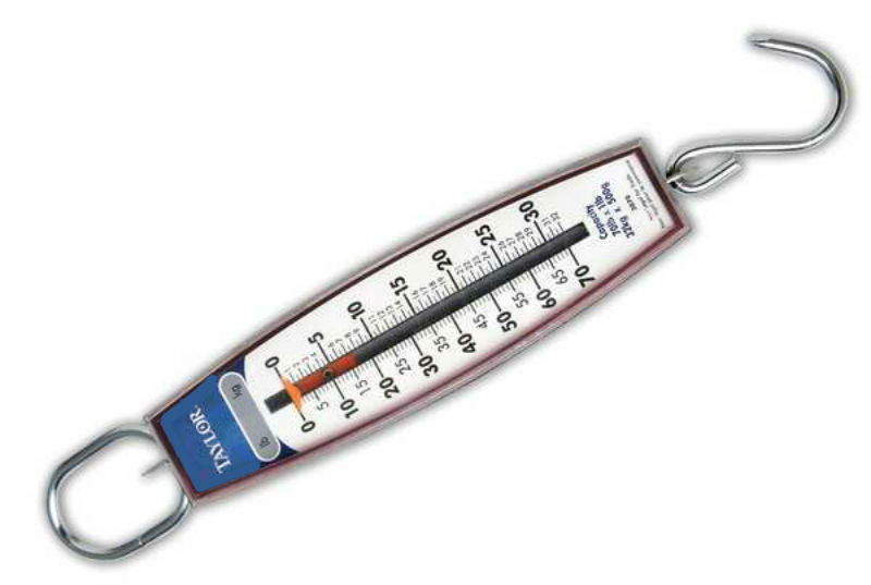 buy kitchen & cooking measuring tools & scales at cheap rate in bulk. wholesale & retail kitchen gadgets & accessories store.