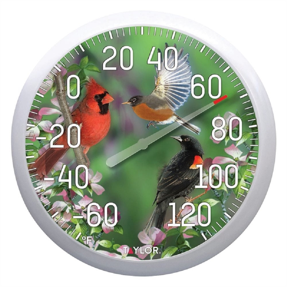 buy outdoor thermometers at cheap rate in bulk. wholesale & retail outdoor living appliances store.