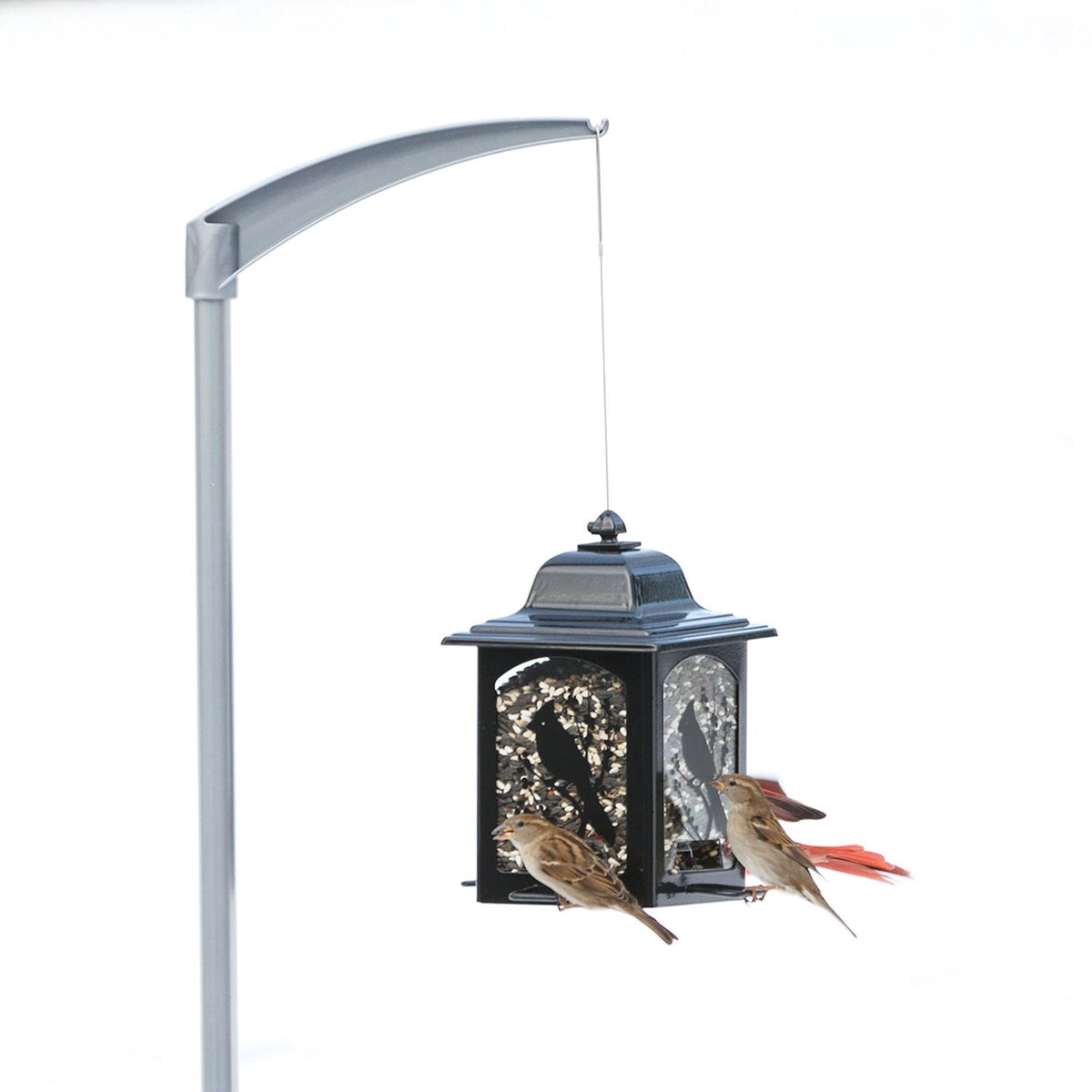 Perky-Pet 5107-4 Top Flight Universal Bird Feeder Pole, Steel