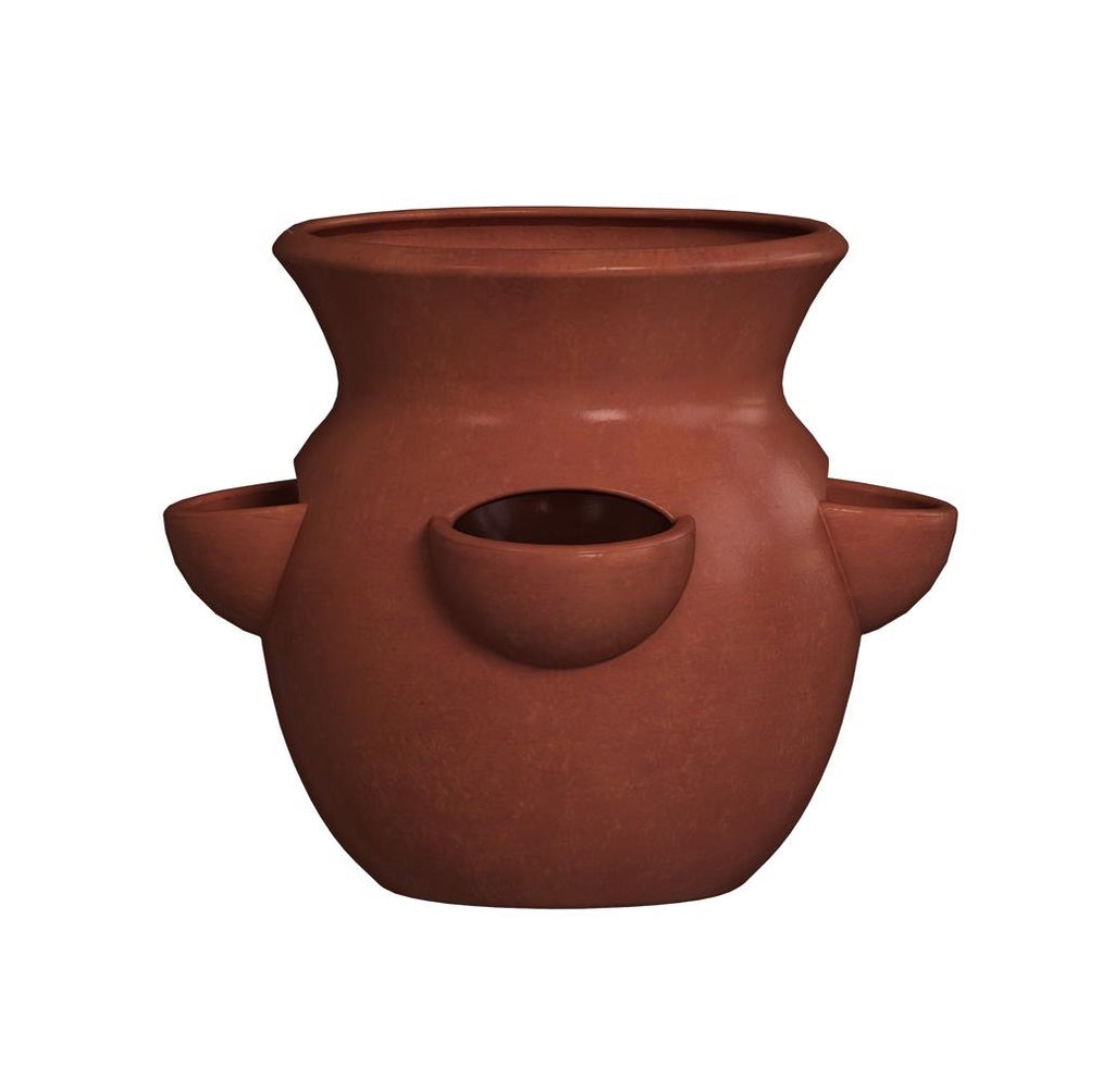 Trendspot AHCR02226N-12T Herb/Strawberry Clay Planter, Terracotta, 12 ...