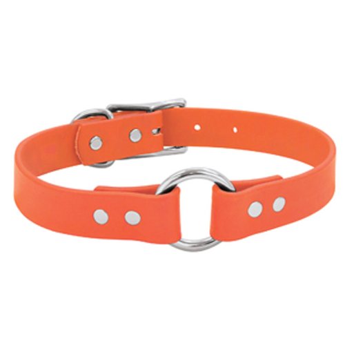 buy dogs collar at cheap rate in bulk. wholesale & retail birds, cats & dogs supplies store.
