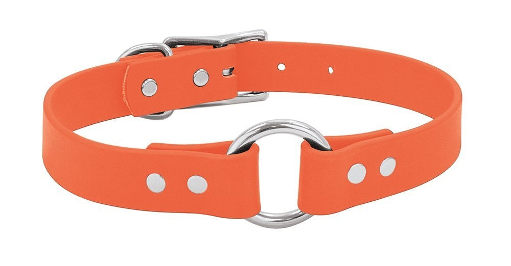 buy dogs collar at cheap rate in bulk. wholesale & retail bulk pet care products store.