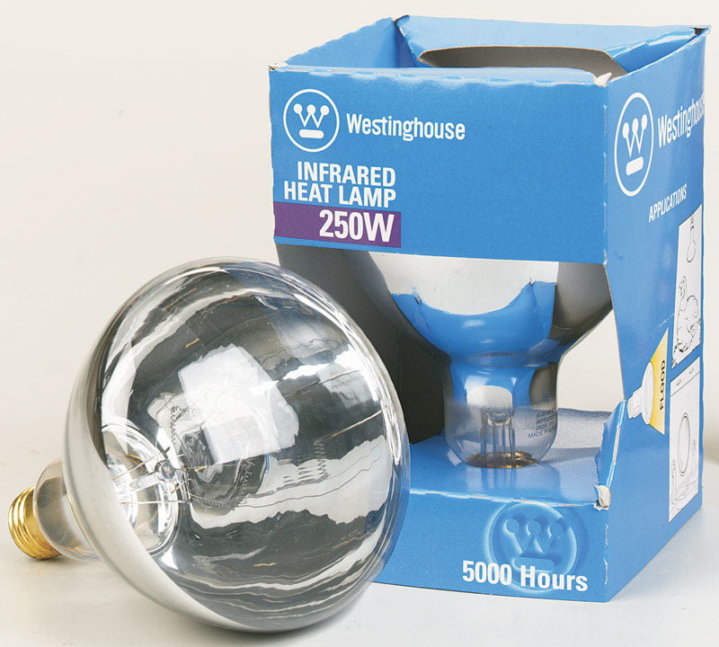buy specialty light bulbs at cheap rate in bulk. wholesale & retail lamps & light fixtures store. home décor ideas, maintenance, repair replacement parts
