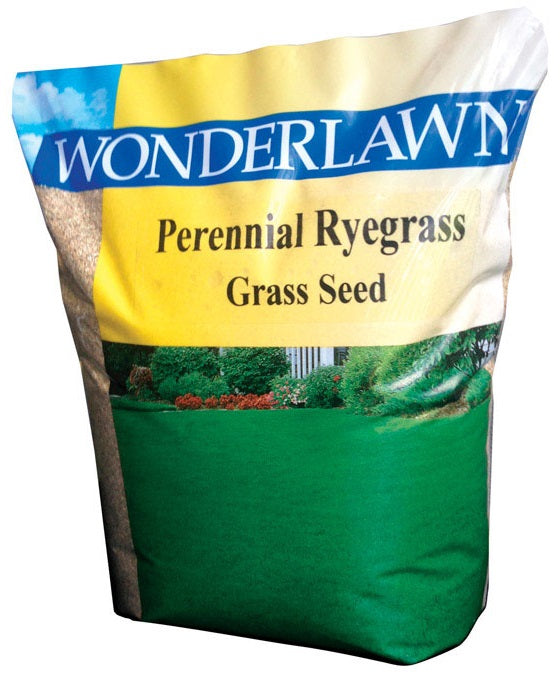 buy seeds at cheap rate in bulk. wholesale & retail plant care supplies store.
