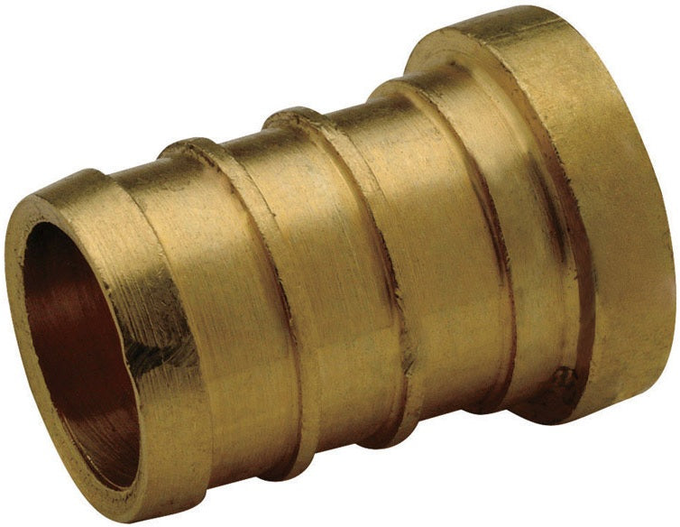 Zurn PX81450XR10 Brass PEX Test Plug, 1/2", 10/Pack